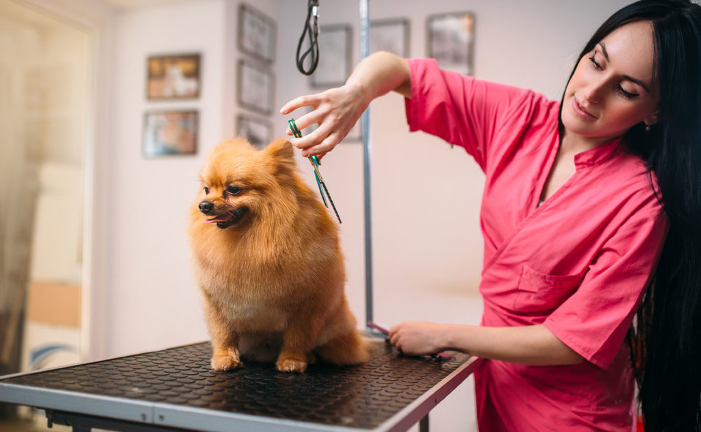 Barkers Grooming & Daycare Barkers Grooming & Daycare